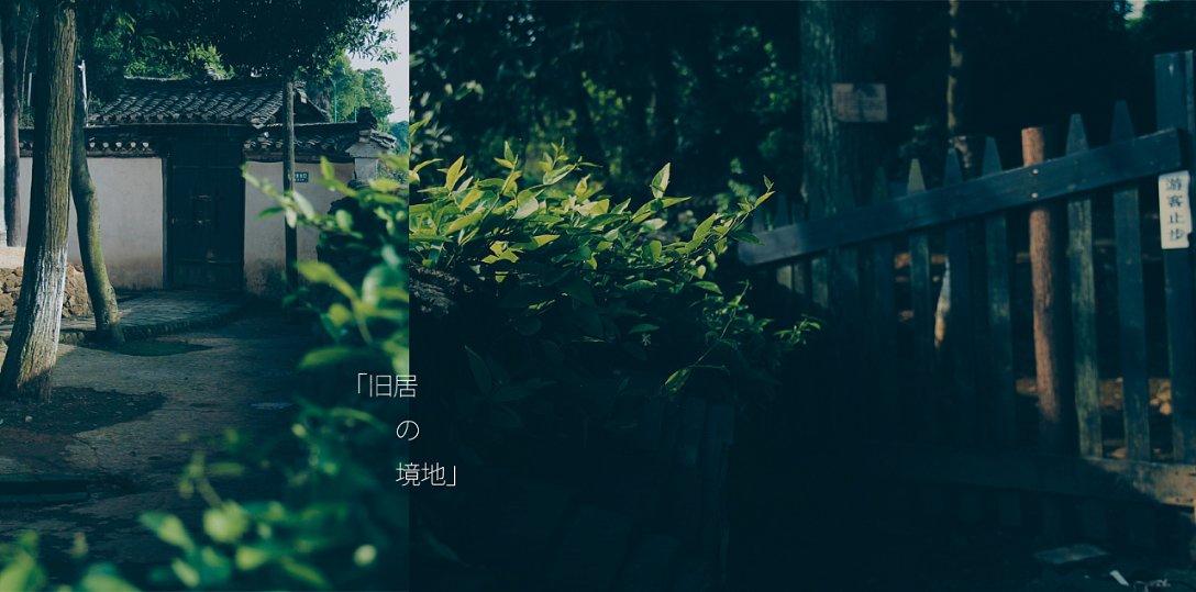 蓝色紫色