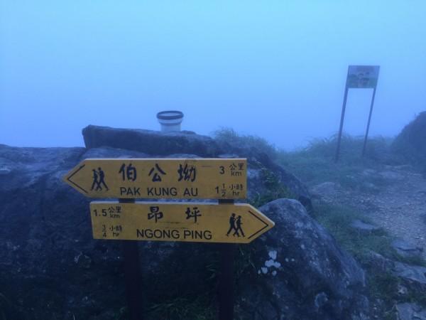 肖远企:对于风险较高的中小银行,实施高强度监管逐步使它的风险收敛
