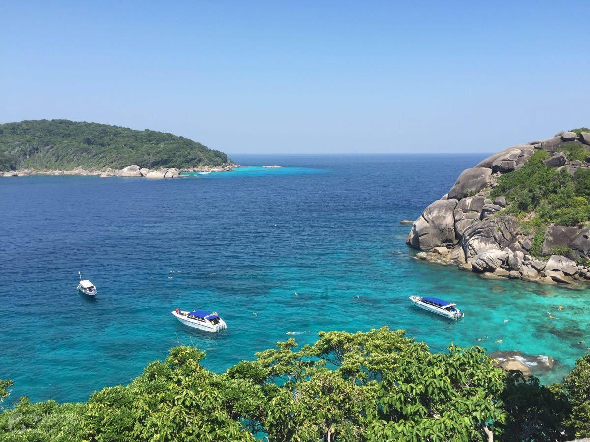近八成商业企业预计未来三年将在内地扩展业务