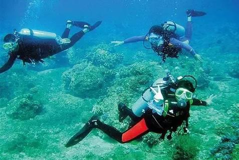你有一份哈尔滨· 香坊的深度旅游攻略,请查收
