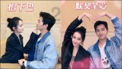 五彩鹦鹉救援