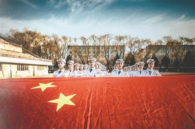漂亮鹦鹉救援